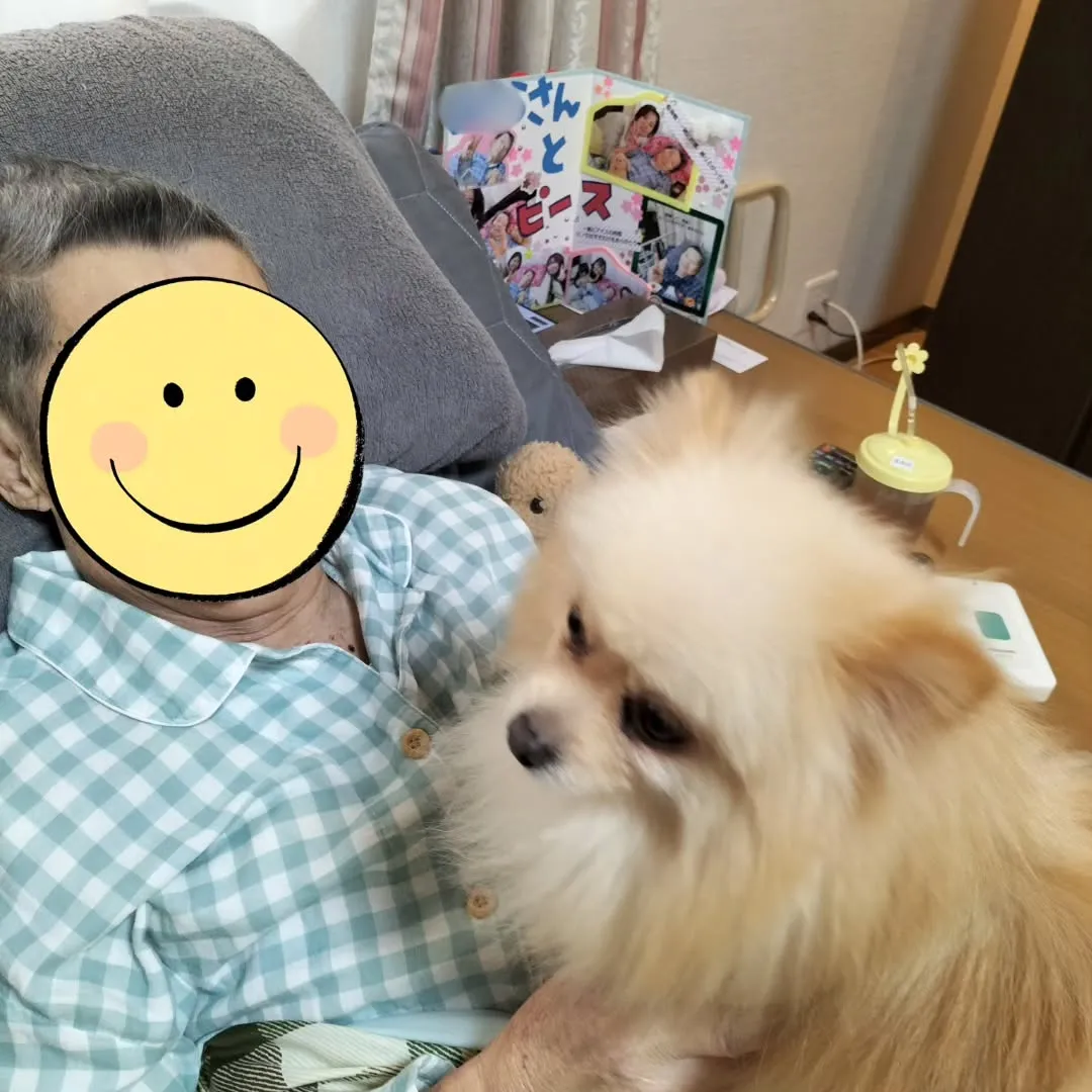 【大好きな犬との触れ合い】